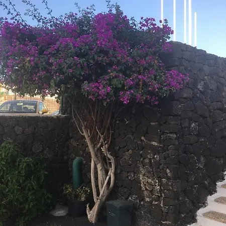 Buddha Zen Puerto del Carmen (Lanzarote)